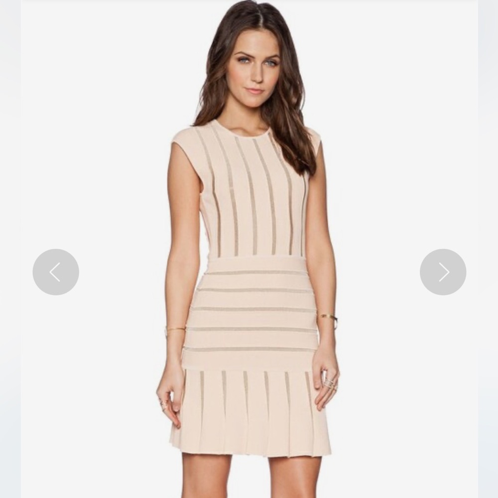 Ronny Kobo Beth Pink Mini Dress
